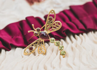 Broche Libelula Isadora P