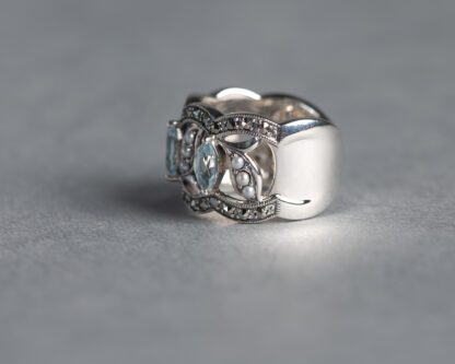 Anillo Iris