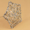 Broche Pental