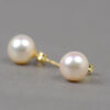 Pendientes Perla Oro 8 mms