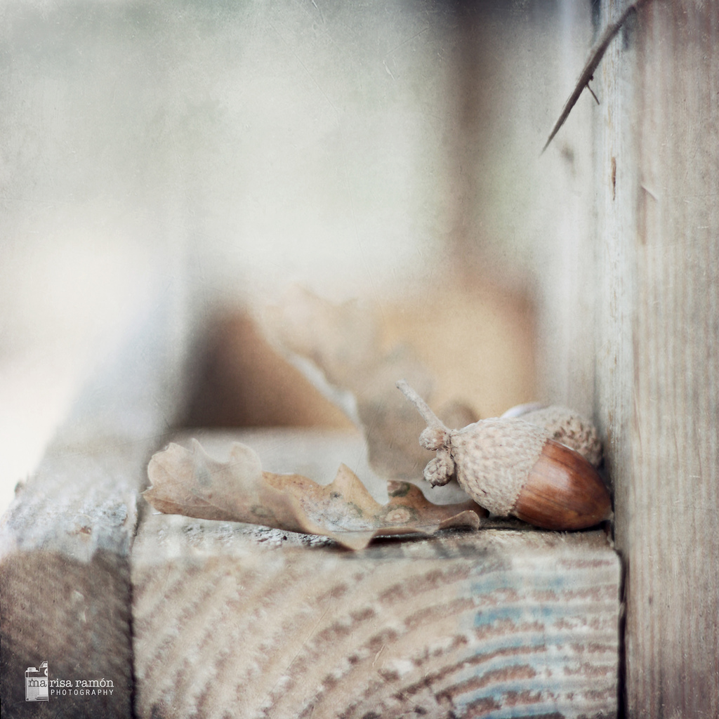 SEGUNDO PREMIO Fotografía de Marisa Ramón Escolano