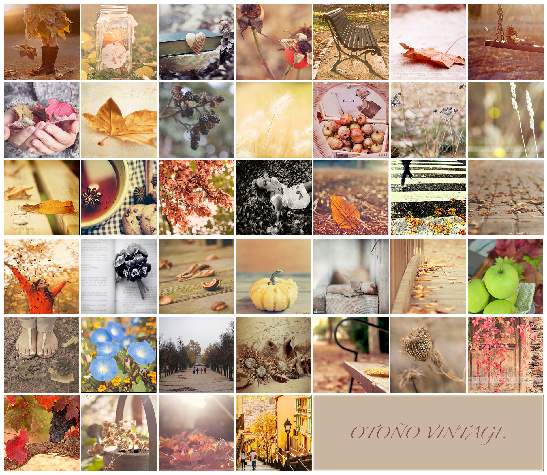 mosaico-otoño