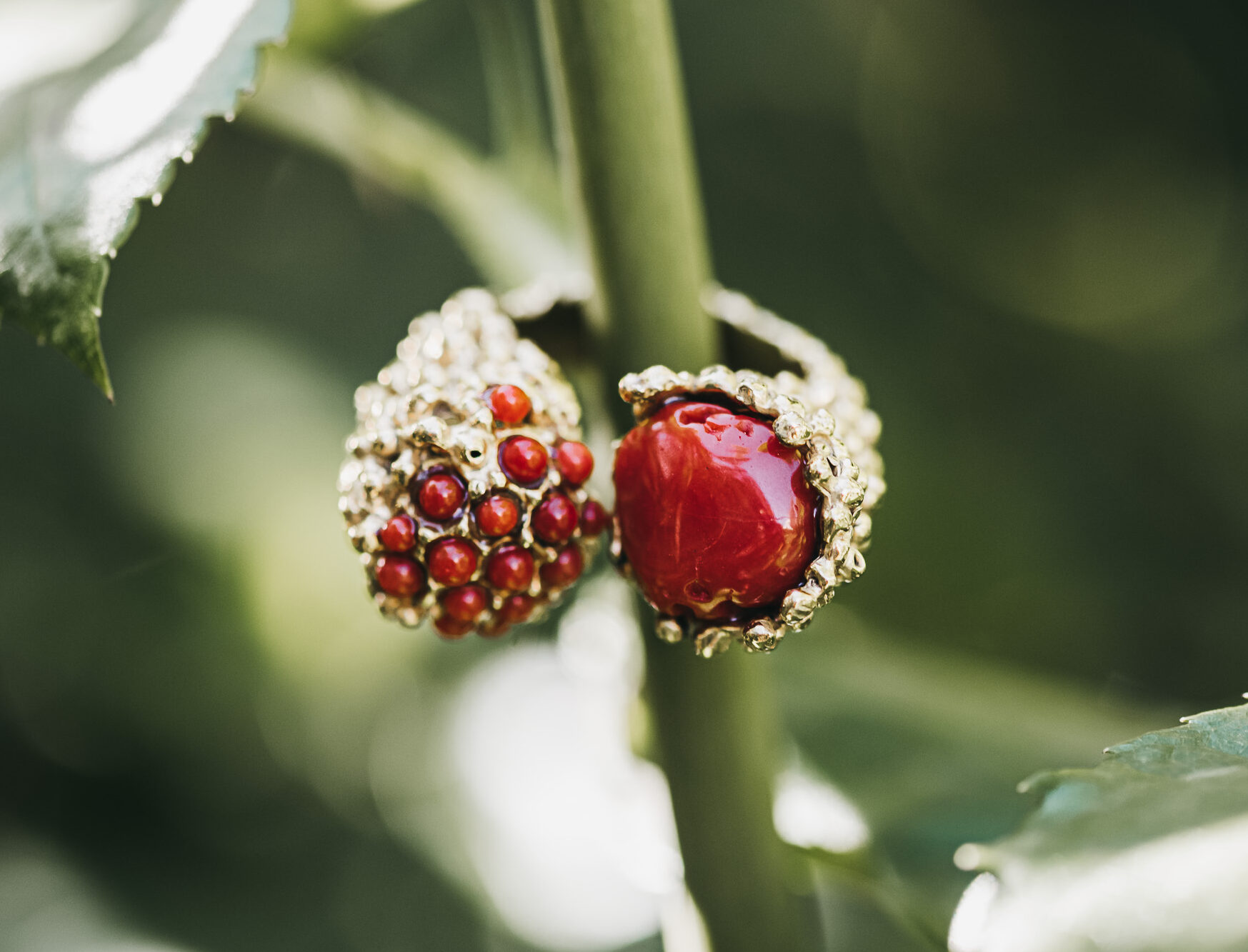 Anillo Palma Coral