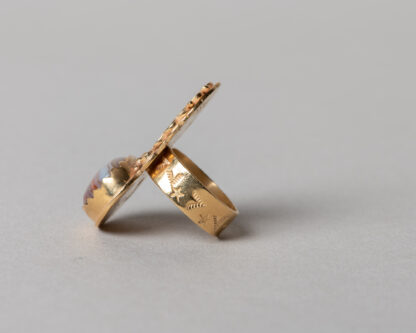 Anillo Junin