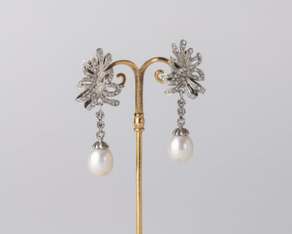 Pendientes Oliva Largo