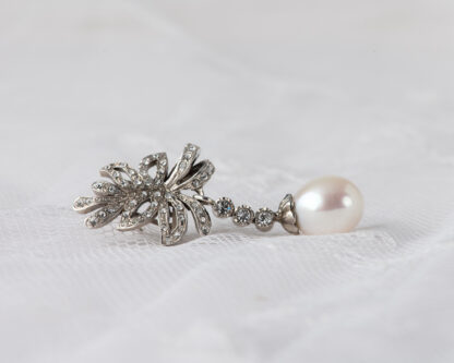 Pendientes Oliva Largo