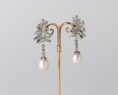 Pendientes Oliva Largo
