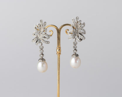 Pendientes Oliva Largo