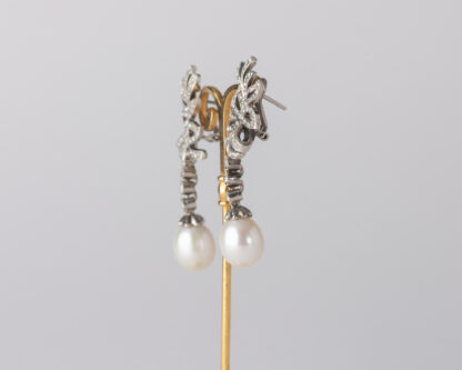 Pendientes Oliva Largo