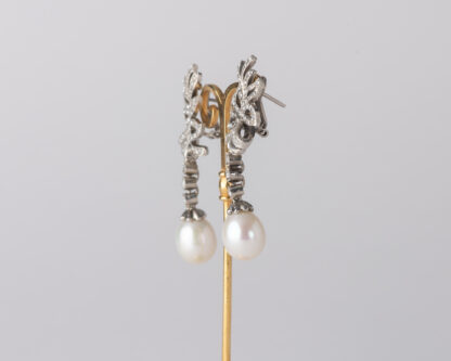 Pendientes Oliva Largo