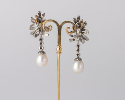 Pendientes Oliva Largo