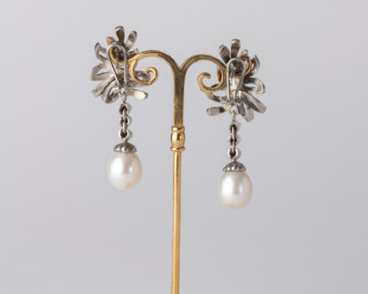 Pendientes Oliva Largo