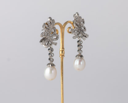Pendientes Oliva Largo