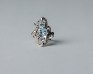 Anillo Orrin