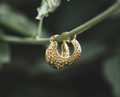 Pendientes Isidora