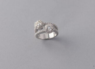 Anillo Paris Doble