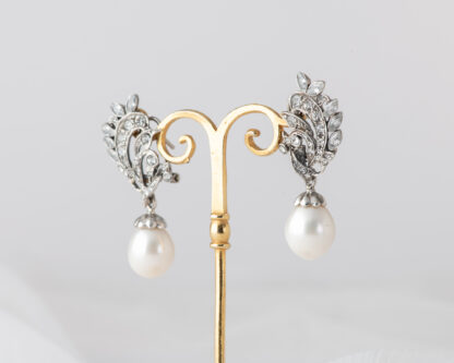 Pendientes Nogal Perla Grande