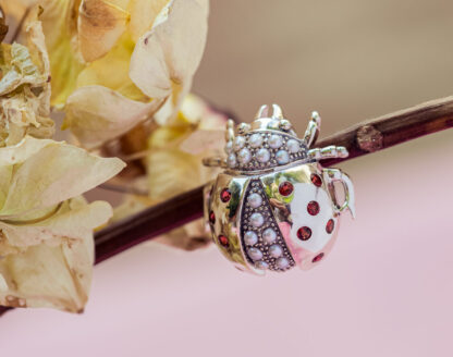 Ladybug Brooch
