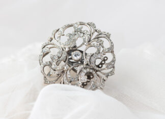 Cierre de Collar Hiedra